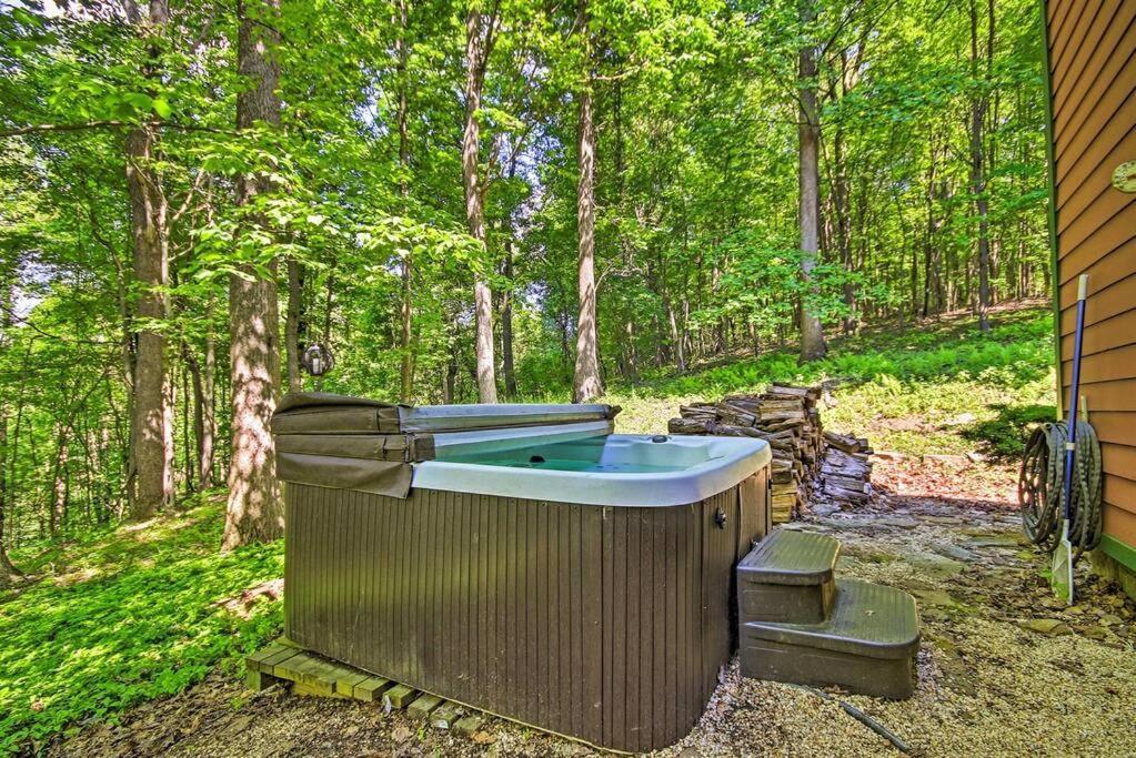 הוילה Acme Bear'S Eye View - Mountain Retreat W/ Hot Tub! מראה חיצוני תמונה